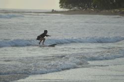 Clase de Surf Privada para Principiante