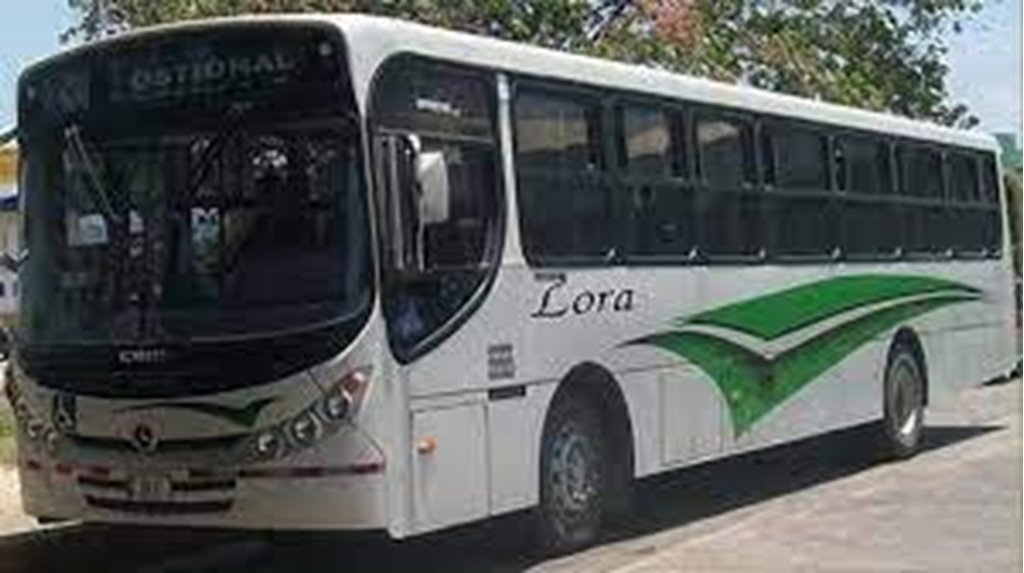 Buses de Santa Cruz a Marbella